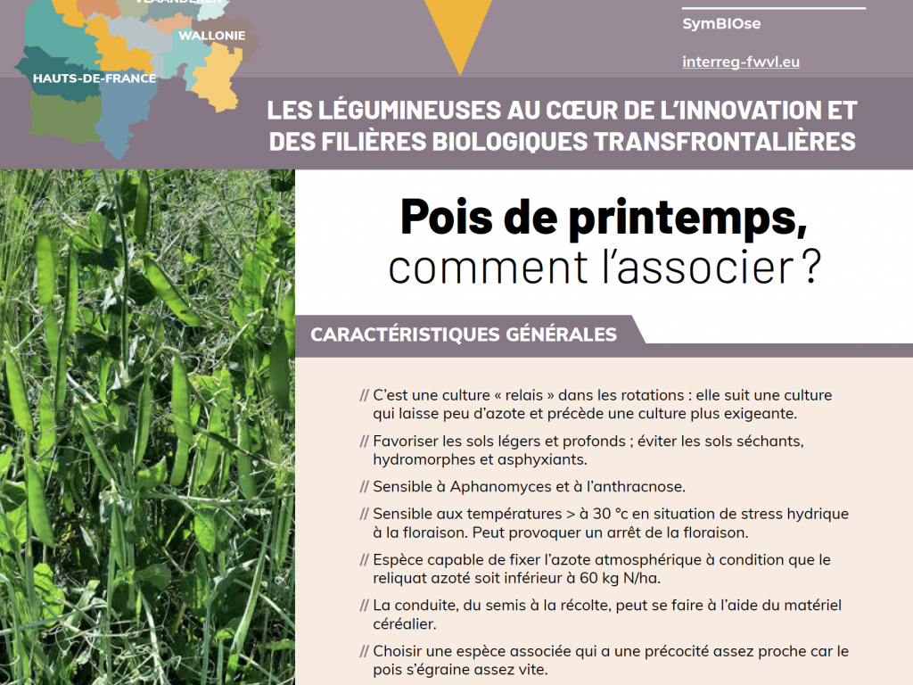 Fiche technique – Pois de printemps, comment l’associer ?