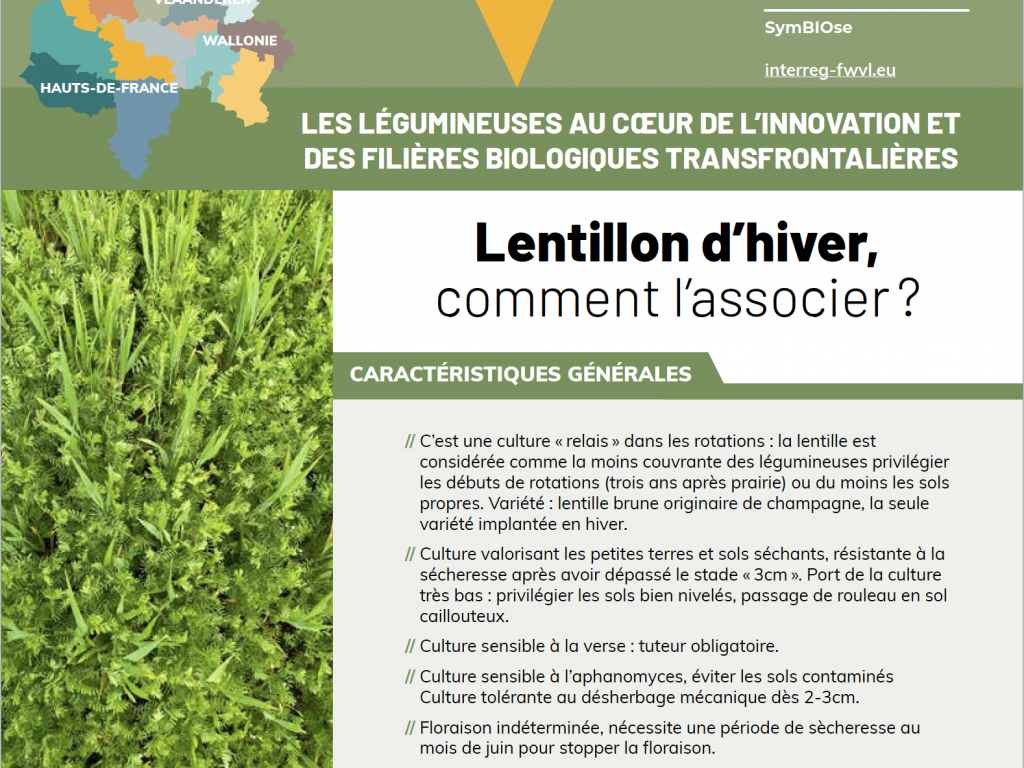 SymBIOse – Lentillon d’hiver, comment l’associer ? (2022)