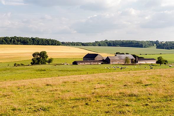 Un nouveau régime de cotisations pour la promotion du secteur bio