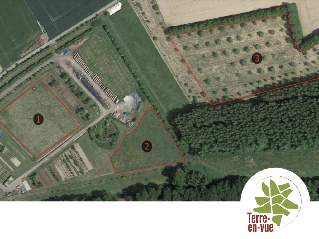 Appel à projets Terre-en-vue – Location parcelles agricoles à Temploux