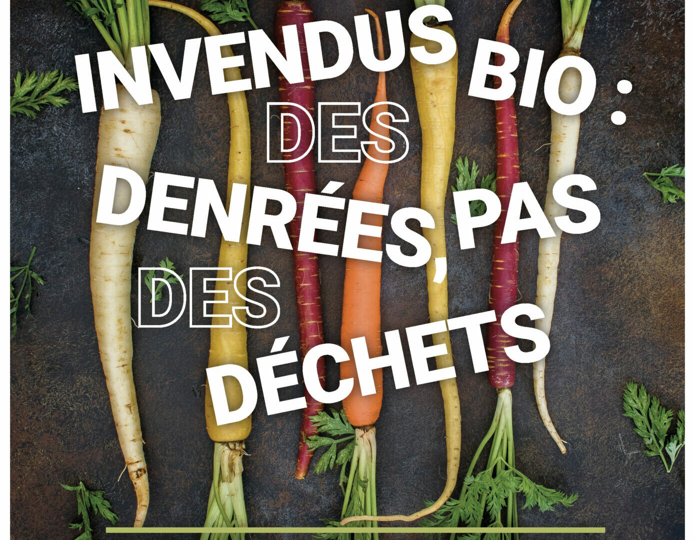 Outils techniques – BioCérès