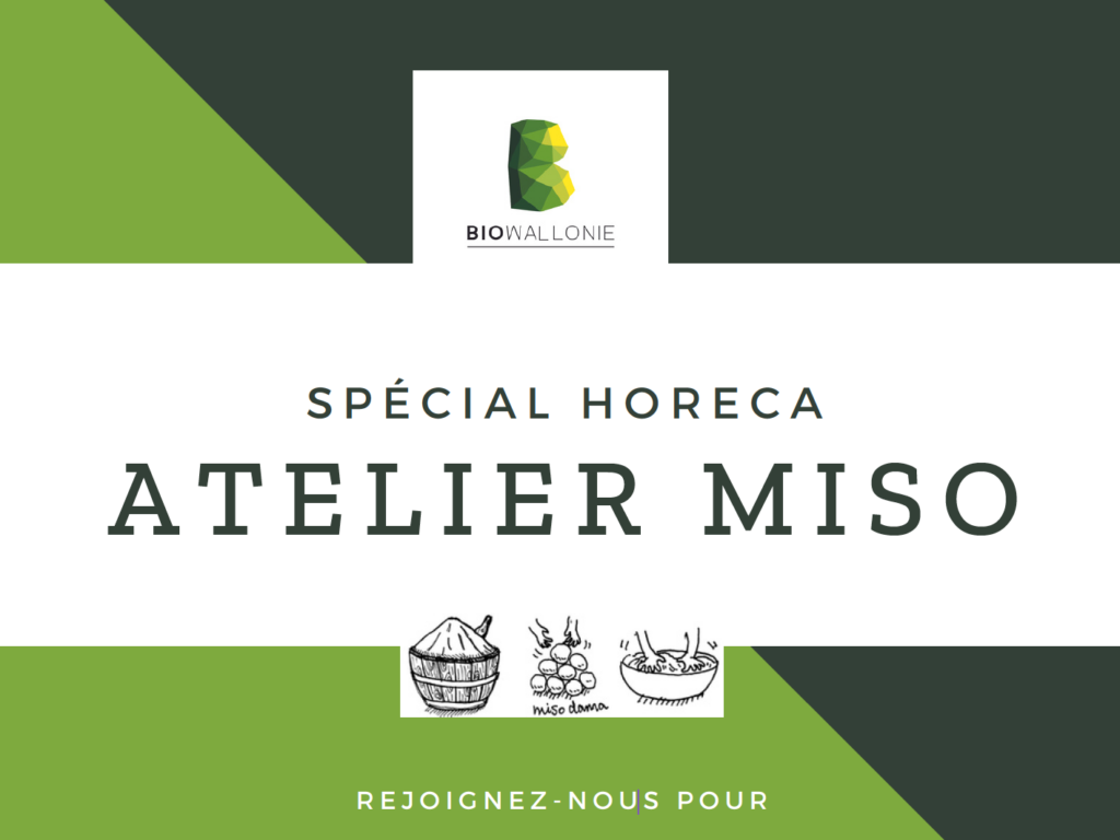 Atelier autour du MISO