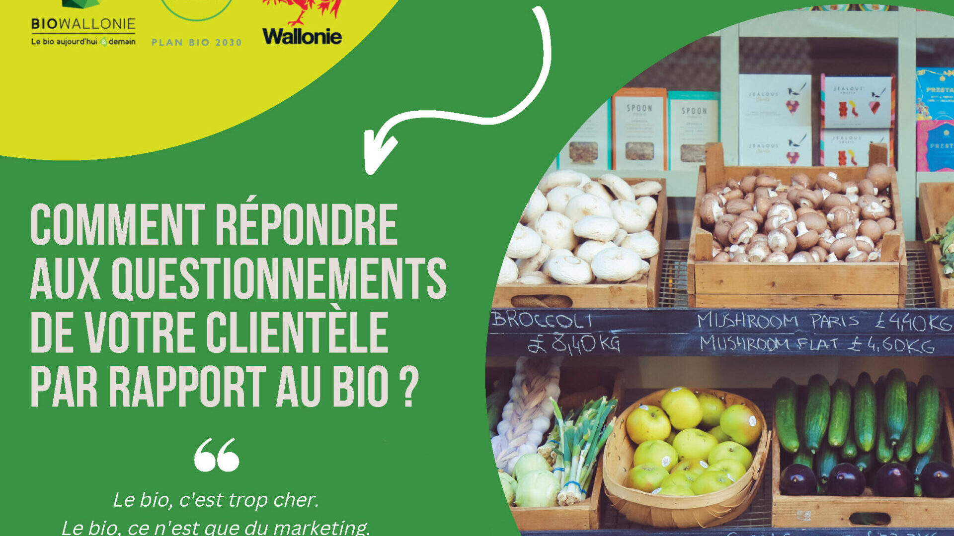 Visite des essais céréales bio du CARAH