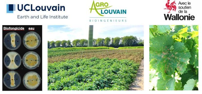 Appel à candidatures – Secteur ovin