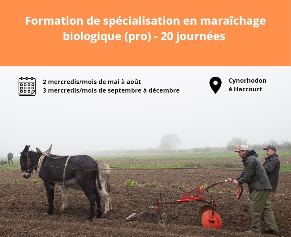 Formation en maraîchage biologique