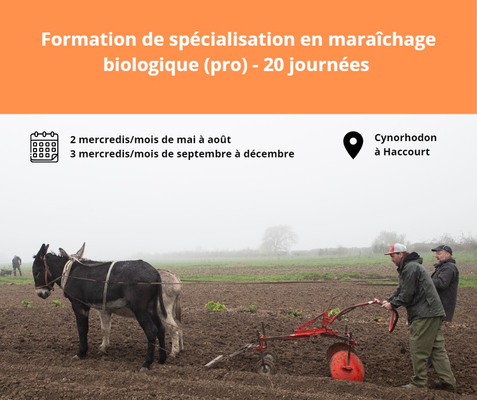 Appel à candidatures – Secteur ovin