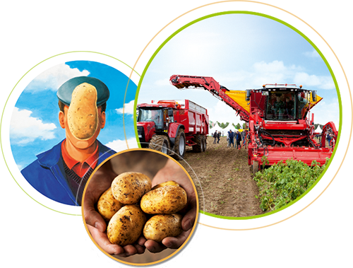 Potato Europe