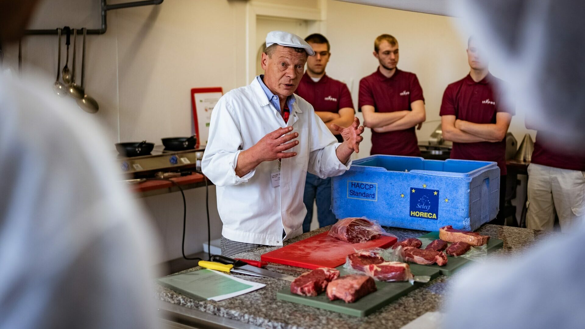 atelier-races-bovines-bio-wallonnes