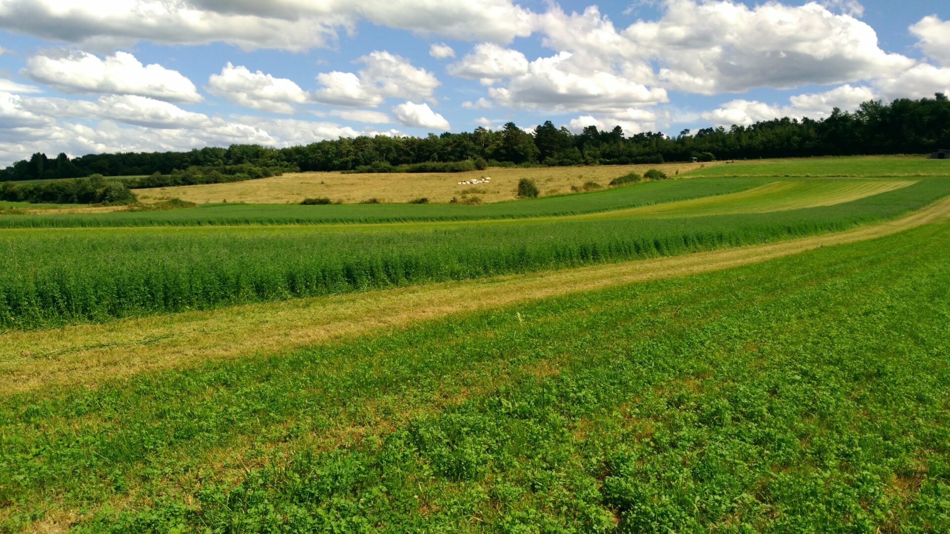 Session d’information : aide de 2.000 euros pour transformer et commercialiser des produits agricoles