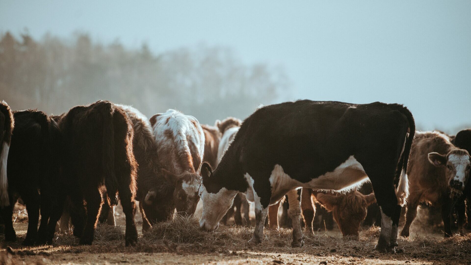 Session d’information : aide de 2.000 euros pour transformer et commercialiser des produits agricoles