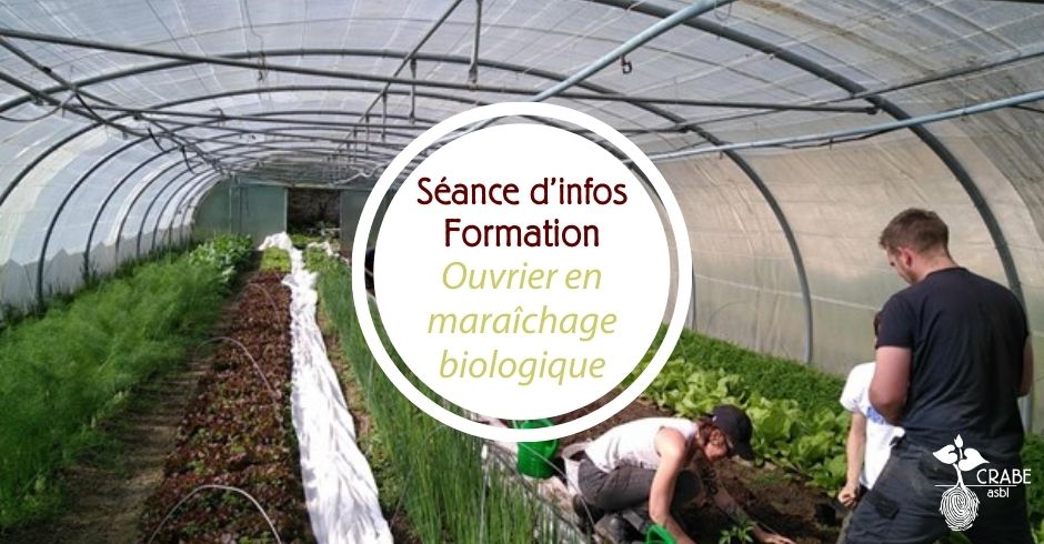 Séance d’infos – Formation en maraîchage biologique