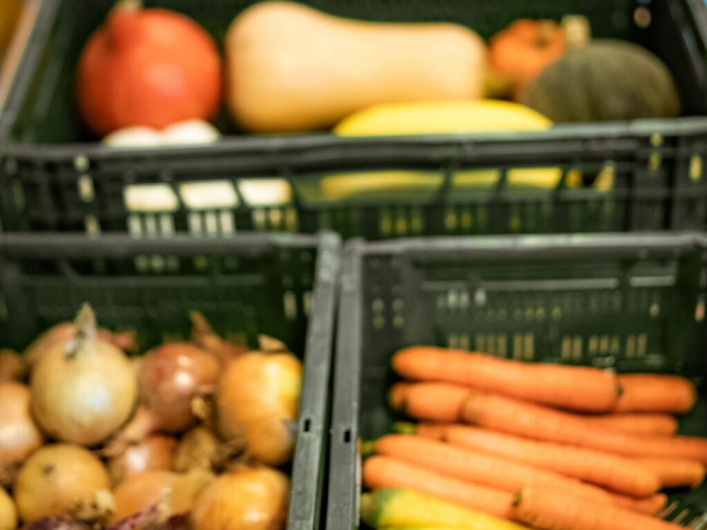 concours-wall-oh-bio-3