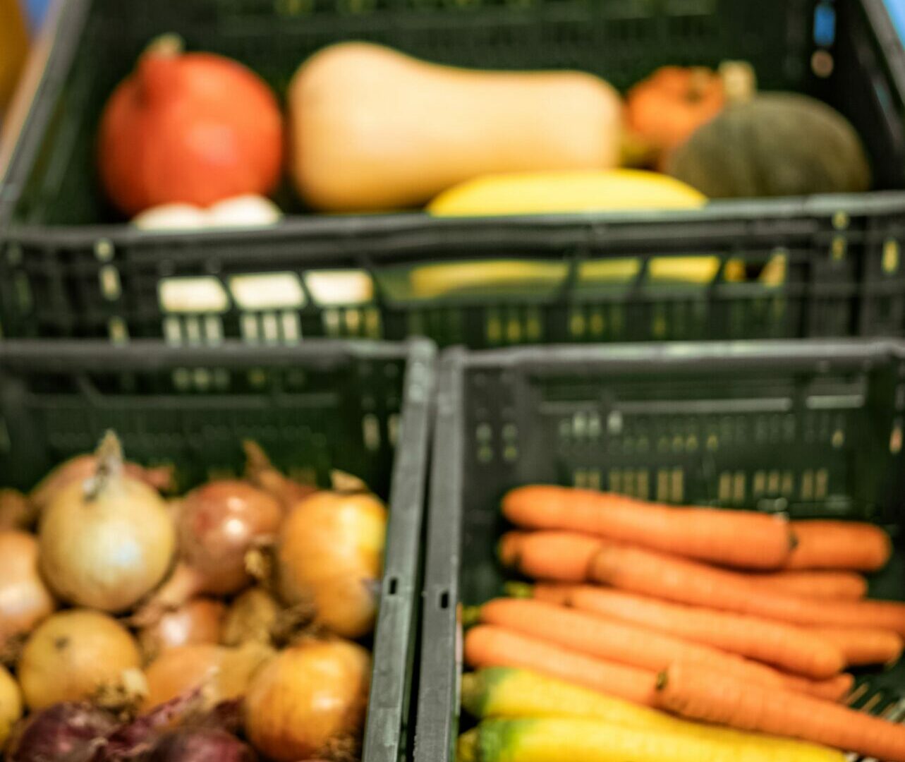 concours-wall-oh-bio-3