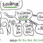 Formations à destination des formateur·rice·s et enseignant·e·s