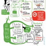 Formations à destination des formateur·rice·s et enseignant·e·s