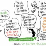 Formations à destination des formateur·rice·s et enseignant·e·s