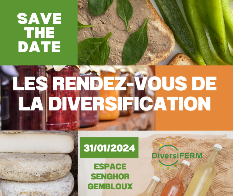 Workshop : approvisionner Bruxelles en fruits et petits fruits
