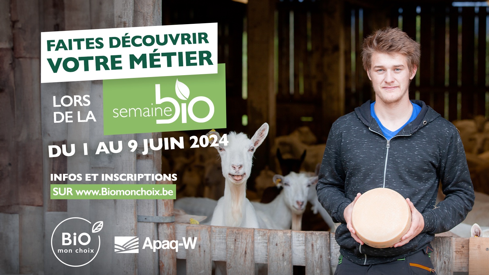 Crompire : une friterie bio & locale à Huy