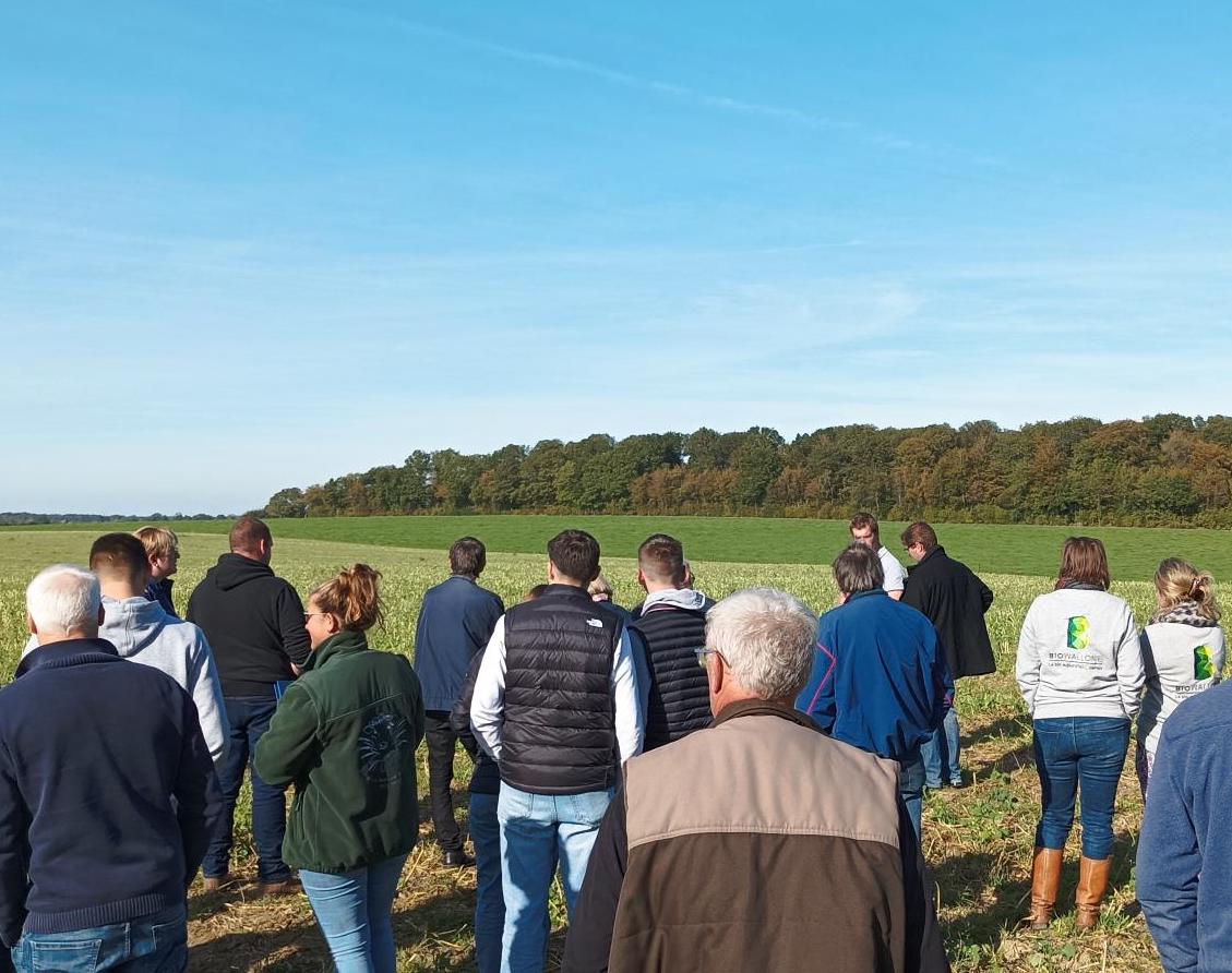Visite d’essais en céréales biologiques