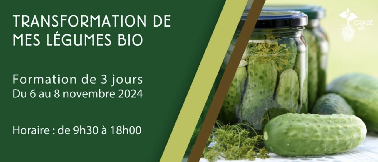 Formation : gâteaux glacés bio