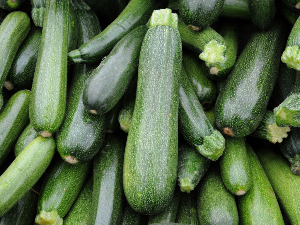 ACTUALITE – De l’heptachlore retrouvé dans des courgettes bio ?