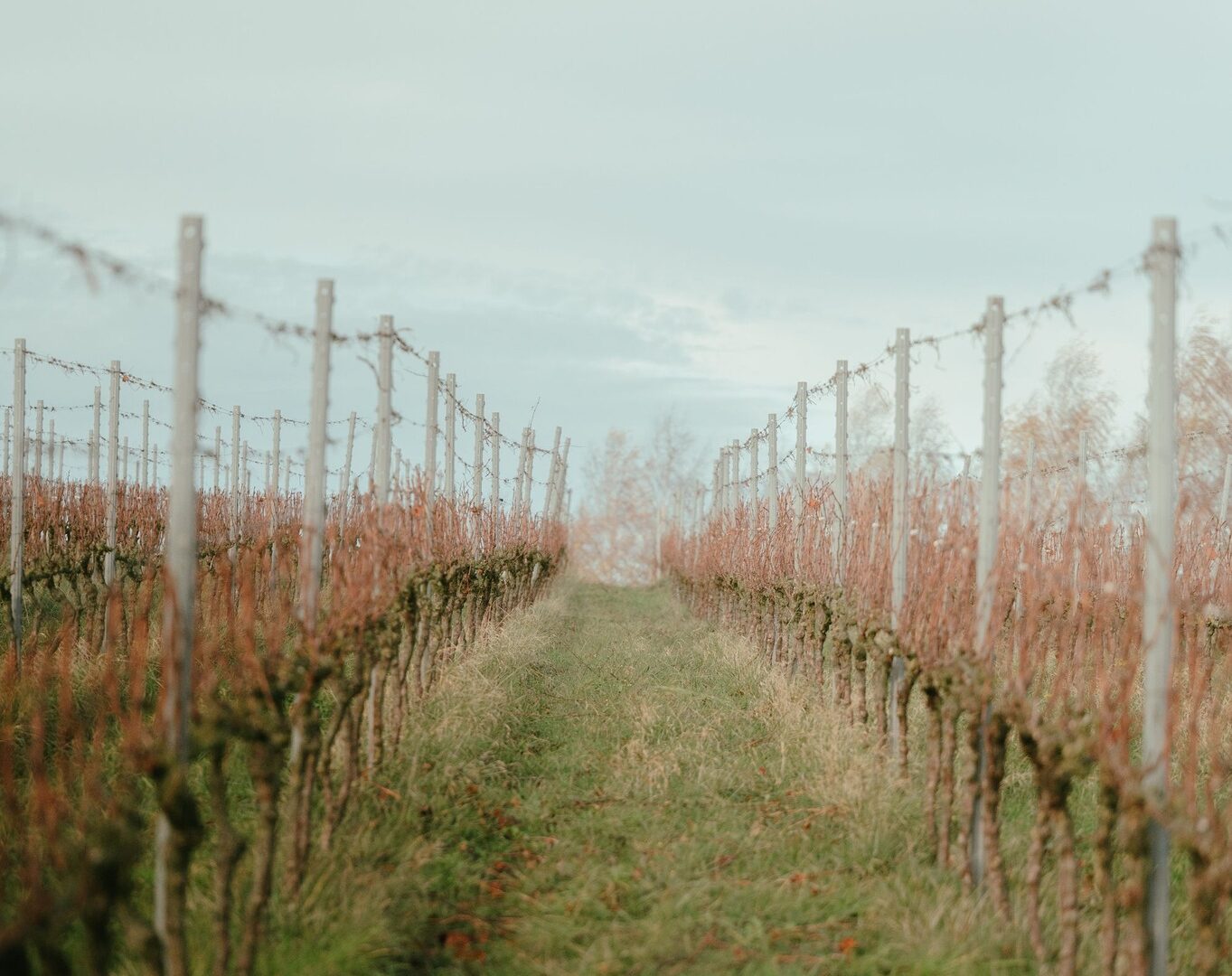 Séance d&rsquo;information en ligne « Encadrer un stagiaire, un enjeu pour le Bio ! » (production agricole)