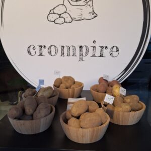 À la découverte des pommes de terre robustes en friterie !