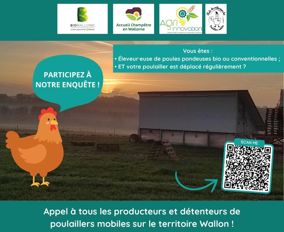📣🐔 Enquête (> 4/04) – Etat des lieux des poulaillers mobiles en Wallonie