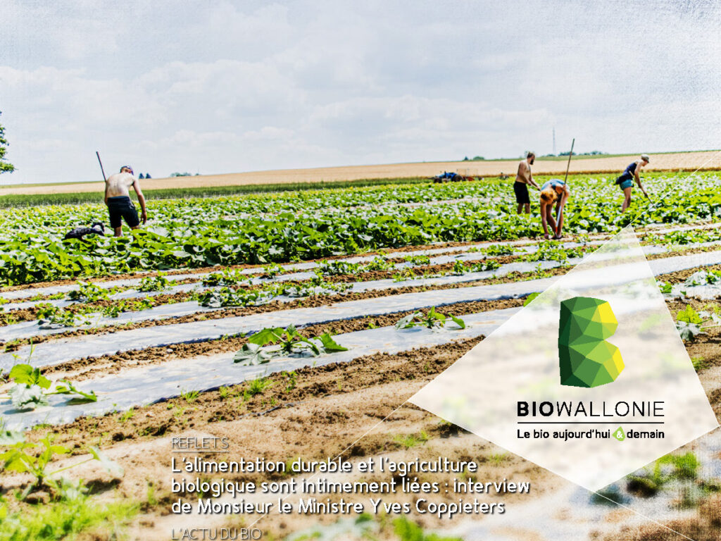 Itinéraires BIO 81
