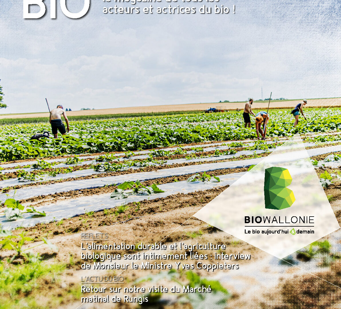 Itinéraires Bio