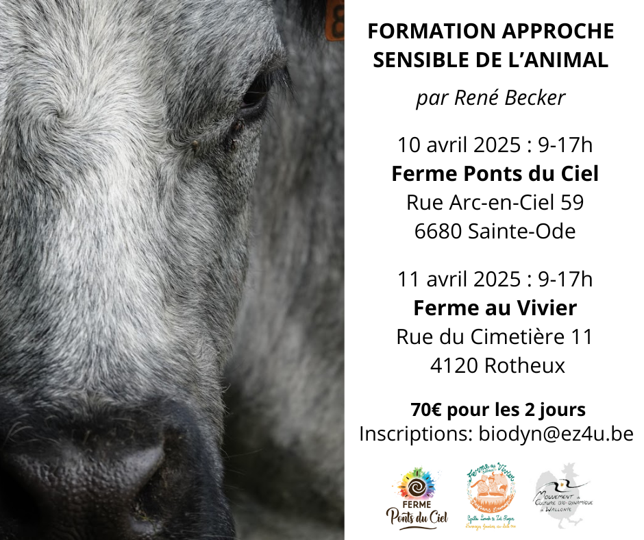 Rencontre « coin technique » – 2 sujets!