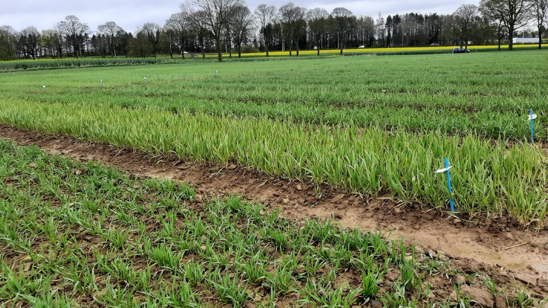 Outils techniques – BioCérès