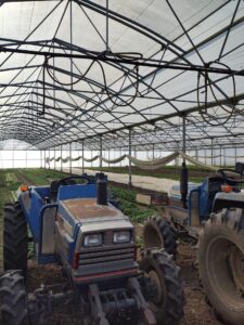 Serres multi-chapelles à la Ferme de Goyet : retour d’expérience