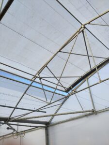 Serres multi-chapelles à la Ferme de Goyet : retour d’expérience