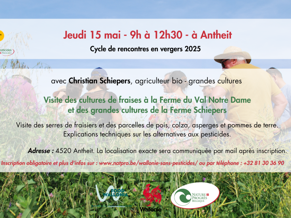 Rencontre en ferme – Visites de cultures de fraises et de grandes cultures