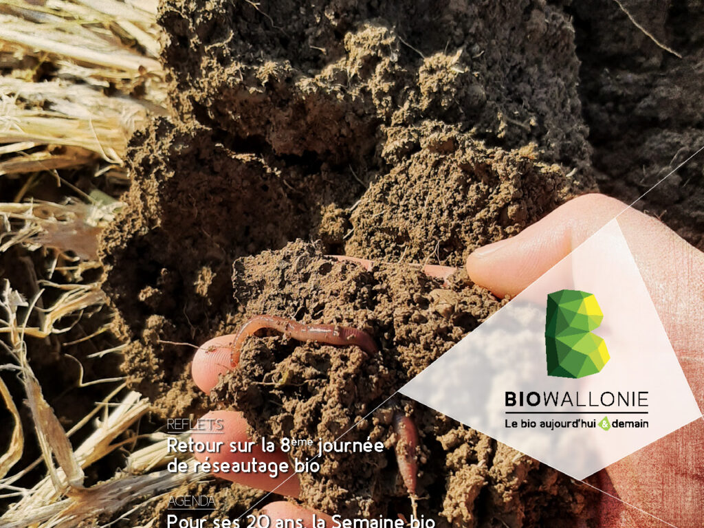 Itinéraires BIO 82 (mai-juin 2025)