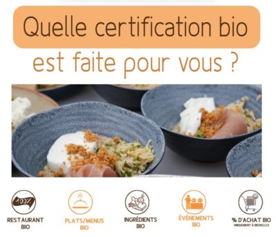 Outil pour vous aider à décider quel système de certification bio convient le mieux à votre établissement de restauration