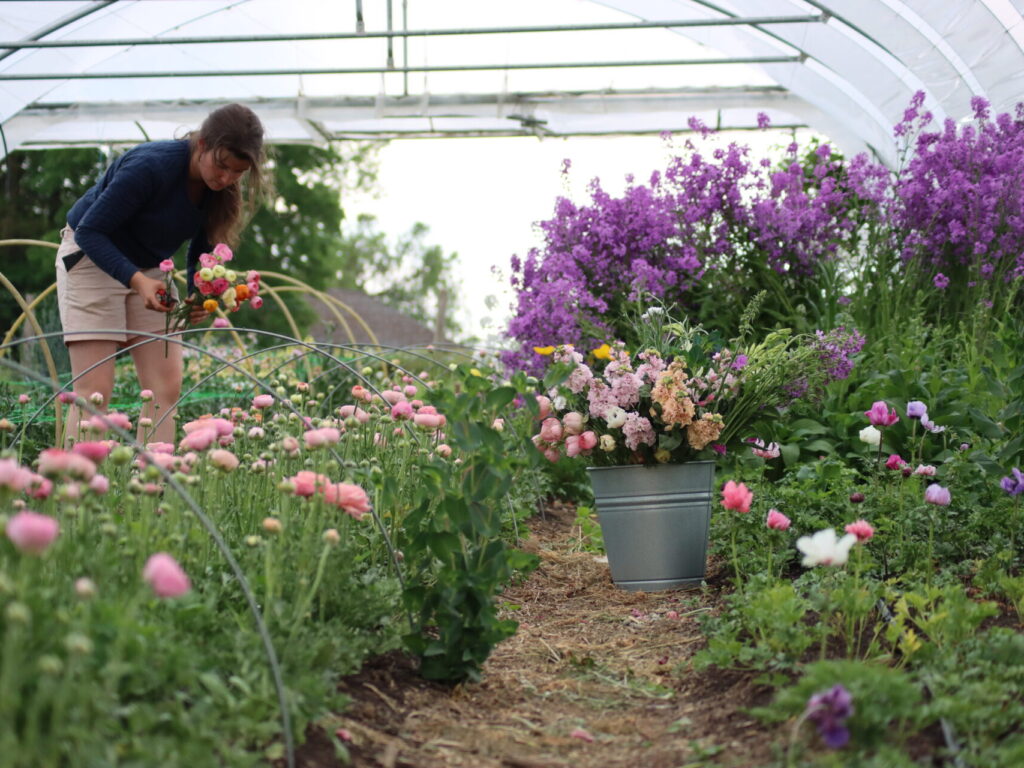 Fleurs éco-responsables ornementales et comestibles