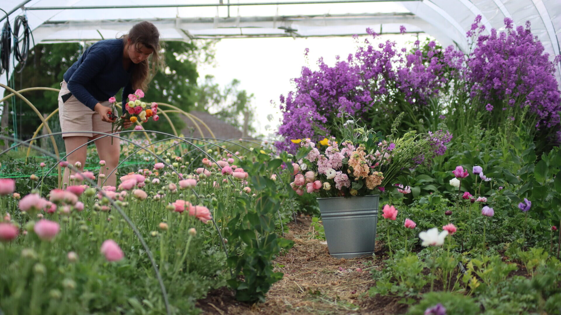Fleurs éco-responsables ornementales et comestibles