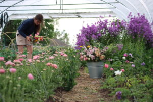 Fleurs éco-responsables ornementales et comestibles