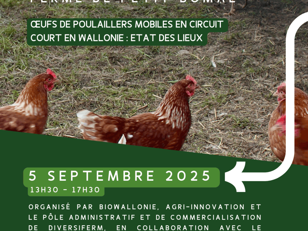 Oeufs de poulaillers mobiles en circuit court