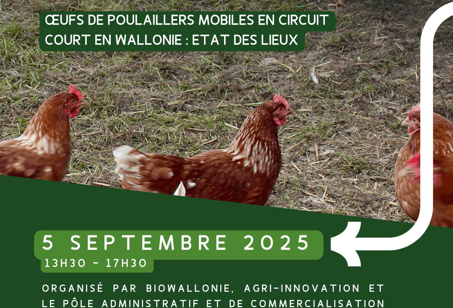 Oeufs de poulaillers mobiles en circuit court
