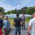 Nos services sur mesure autour du bio dans les cantines