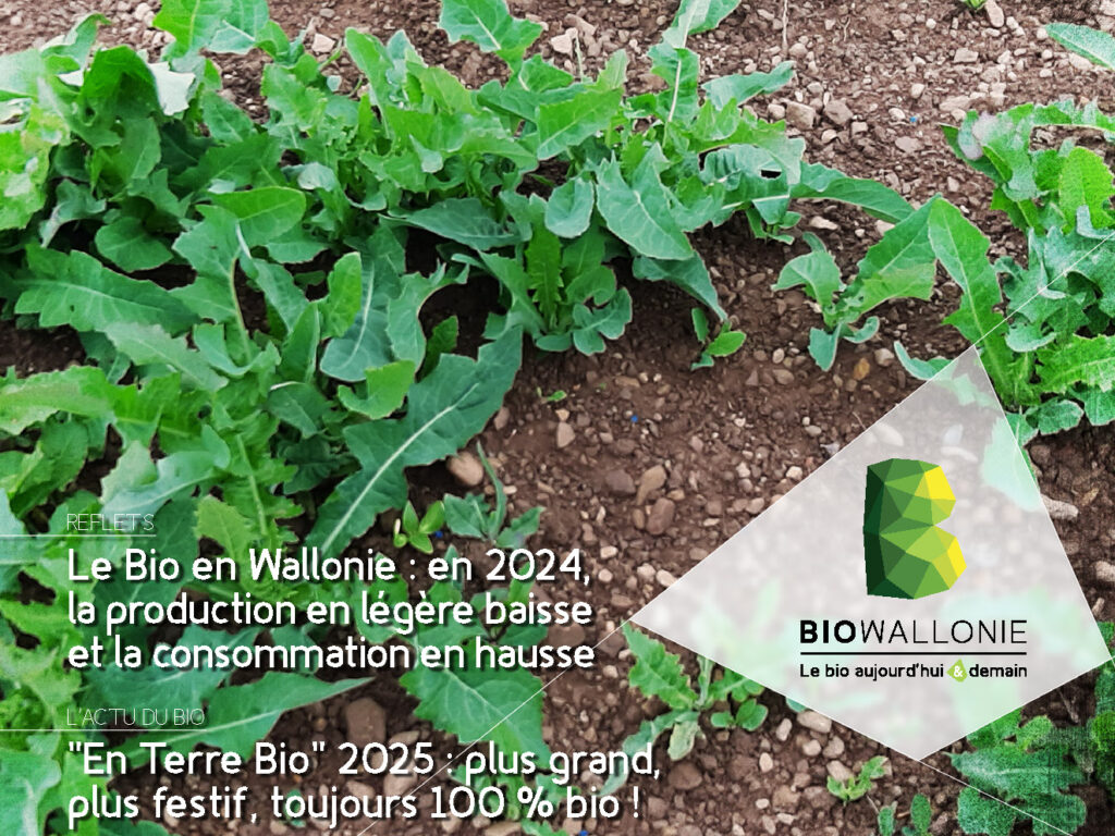 1ère de couverture de l'itinéraires BIO n°83 sur les adventices vivaces