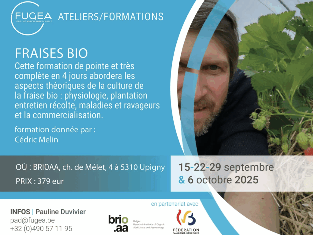 Formation « Fraises bio »