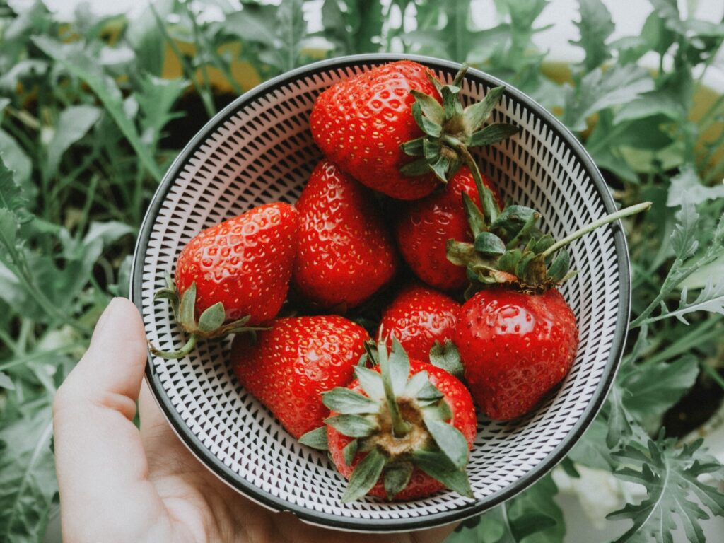 Mieux valoriser les petits fruits bio : packaging et marketing