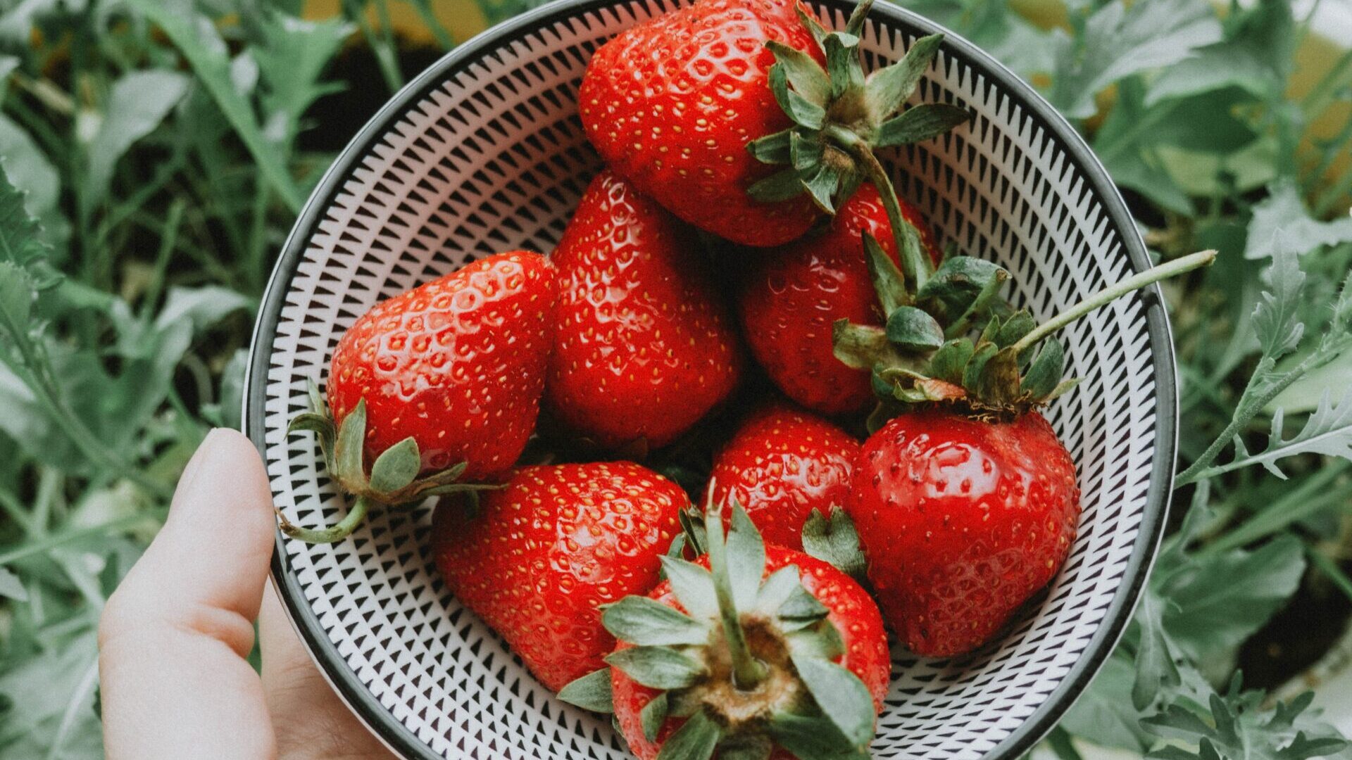 Séance d’info sur l’agriculture BIO – productions primaires