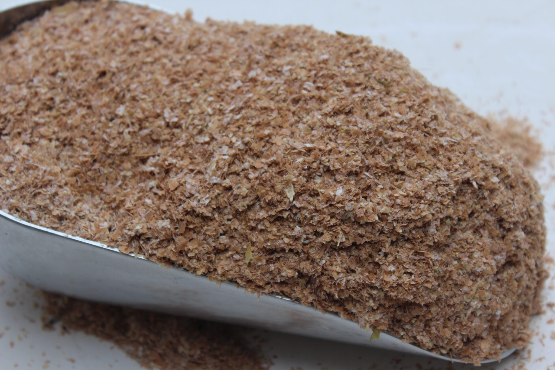 Son de blé, épeautre et seigle à vendre