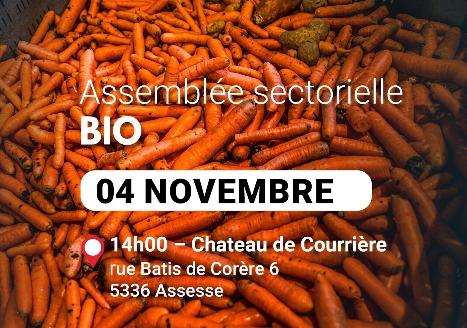 Assemblée sectorielle bio 4/11/2025