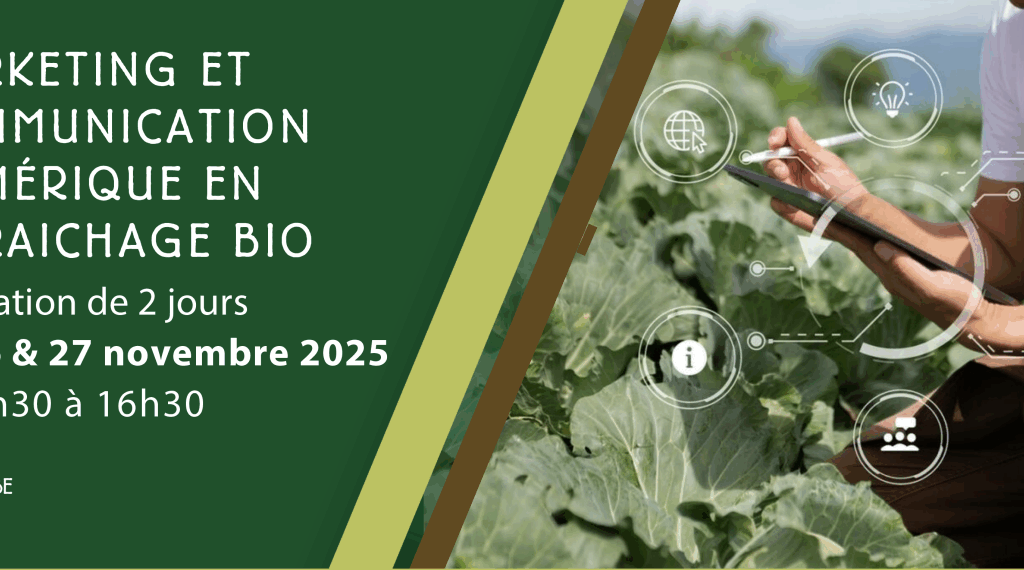 Marketing et communication numérique en maraichage bio